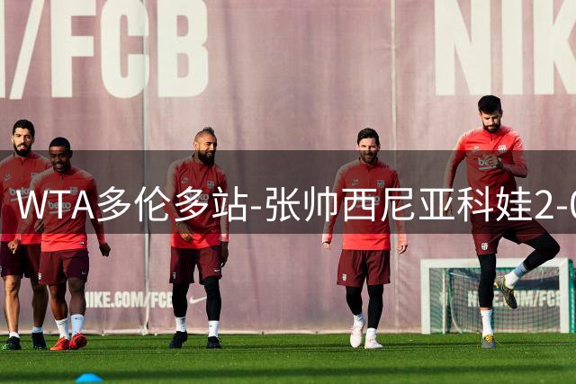 WTA多伦多站-张帅/西尼亚科娃2-0女双捧杯 张帅夺生涯第19冠